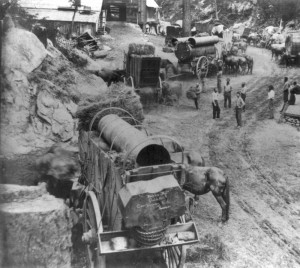 Feeding the Teams Along the Road c: 1865