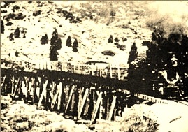 Part of Bliss' Glenbrook Railroad