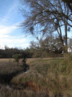 Kanaka Valley riparian area