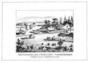 skinner winery bw